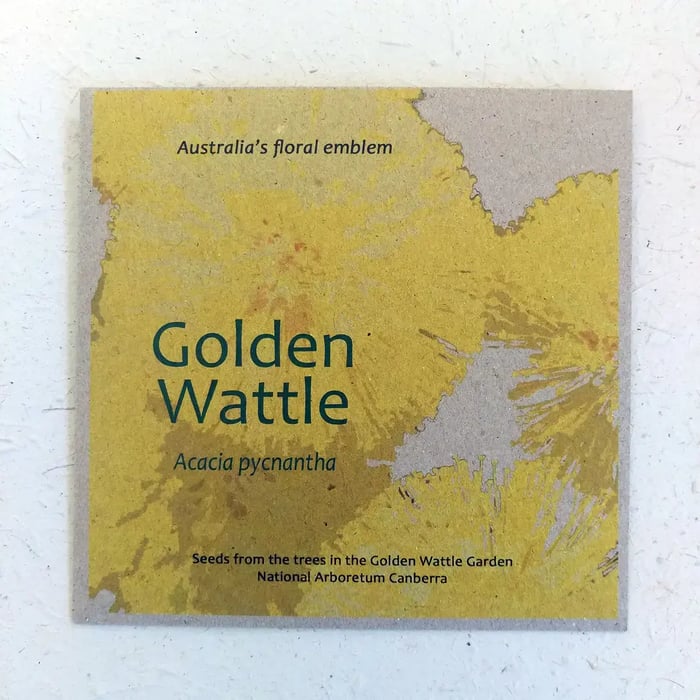 Golden Wattle Seeds image