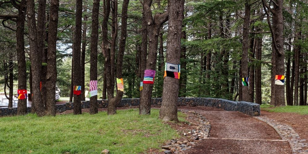 Himalayan Cedars wrapped in warm scarves