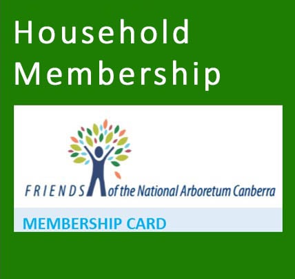 Household - 1 year image