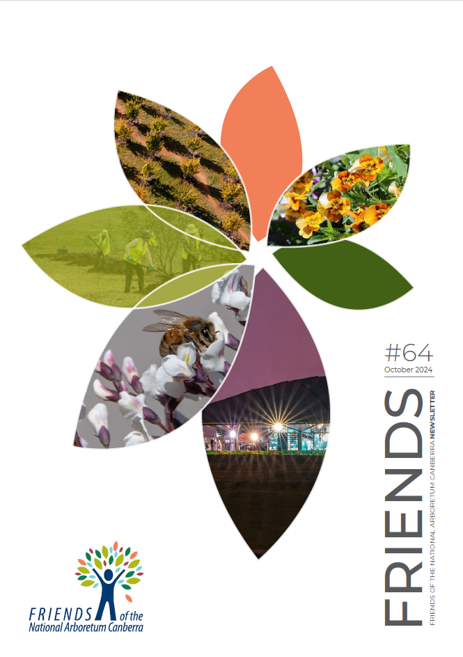 cover-newsletter64