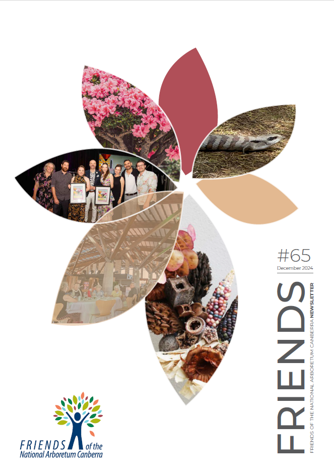 cover-newsletter65