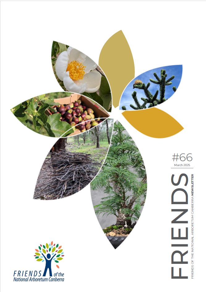 cover-newsletter66
