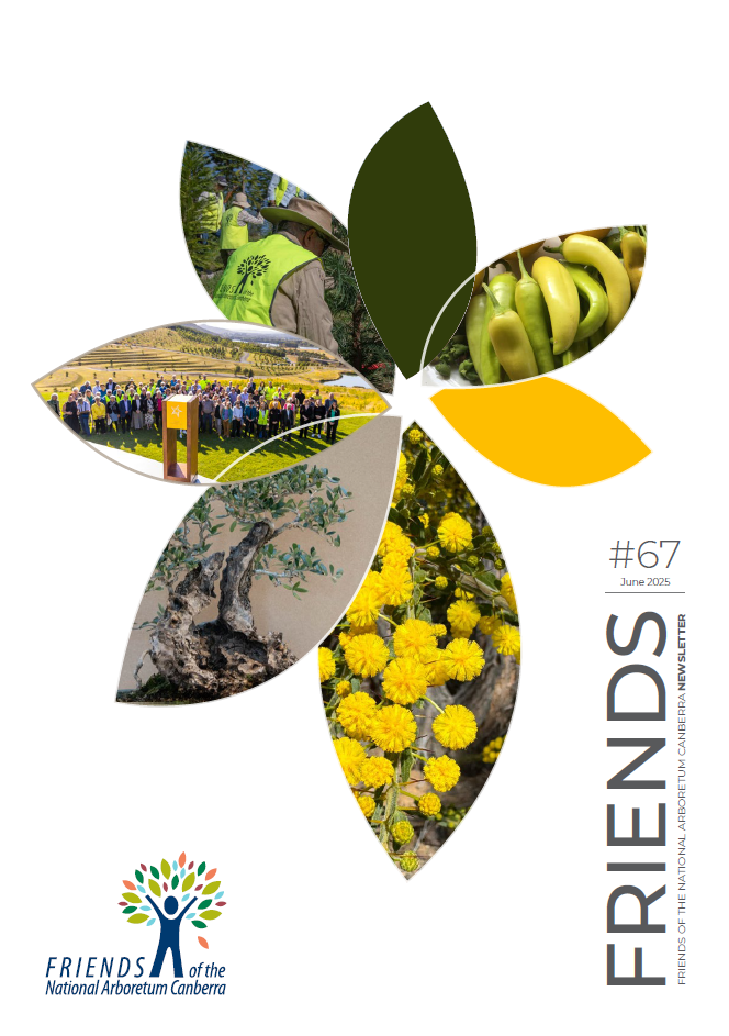 cover-newsletter67