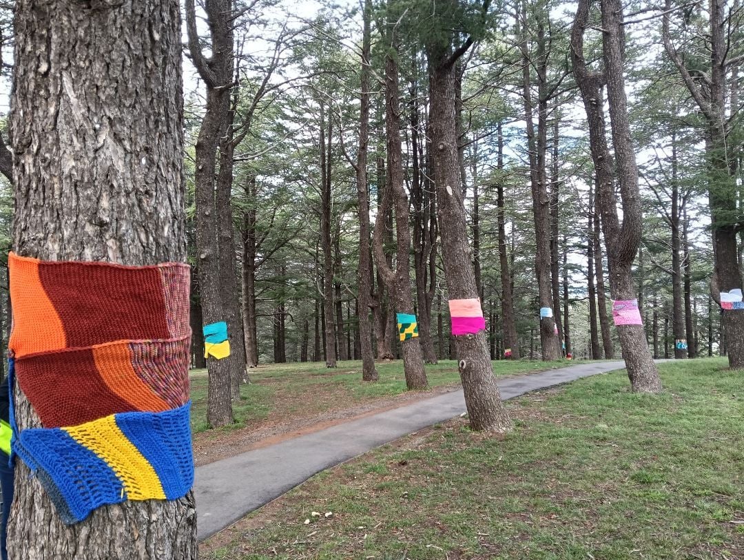 Scarves wrapped around the Himalayan Cedars