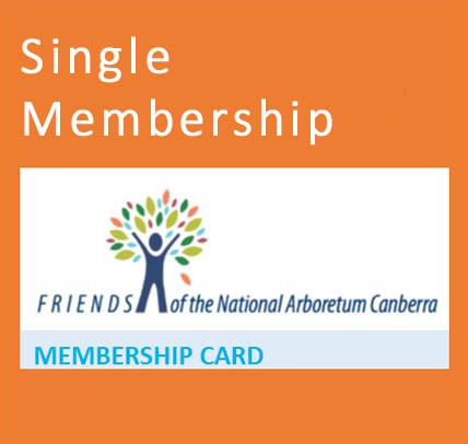 Single - 1 year image