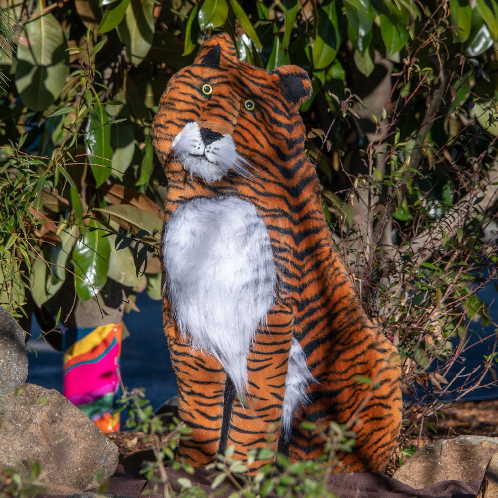 Tiger-ange1