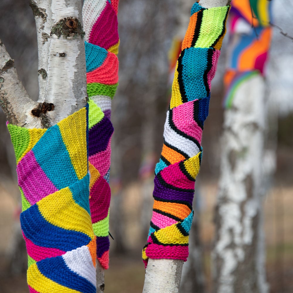 scarves-Birch