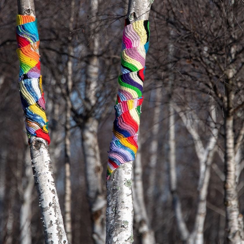 Warm Trees